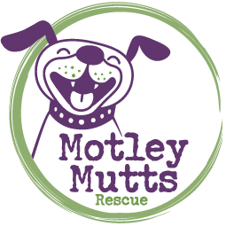 Motley Mutts Rescue